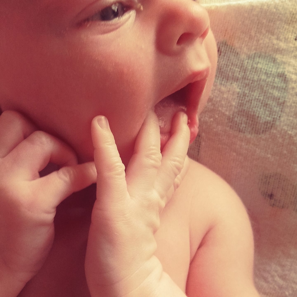 Meet your Posher, Nikki